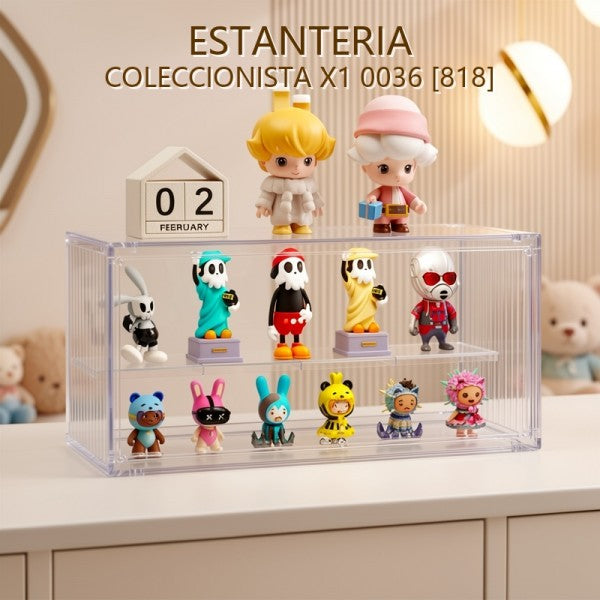 ESTANTERIA COLECCIONISTA X1 0036 [818]