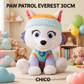 PAW PATROL EVEREST 30CM CHICO