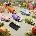 PARAGUA 4019 [10140-1]