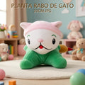 PLANTA RABO DE GATO 20CM