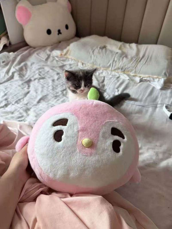 EXO PARK PINGUINNI 20CM